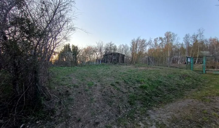 Działka rod Gdańsk Morena, ul. Morenowe Wzgórze