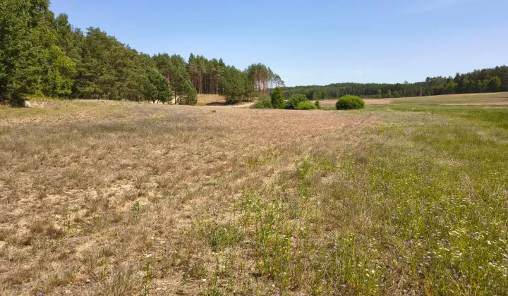 Działka budowlana Płocice