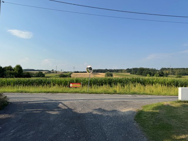 Działka rolno-budowlana Wieszowa. Zdjęcie 1