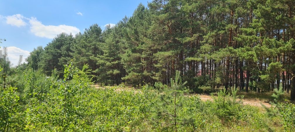 Działka budowlana Zamość, ul. Orki. Zdjęcie 8