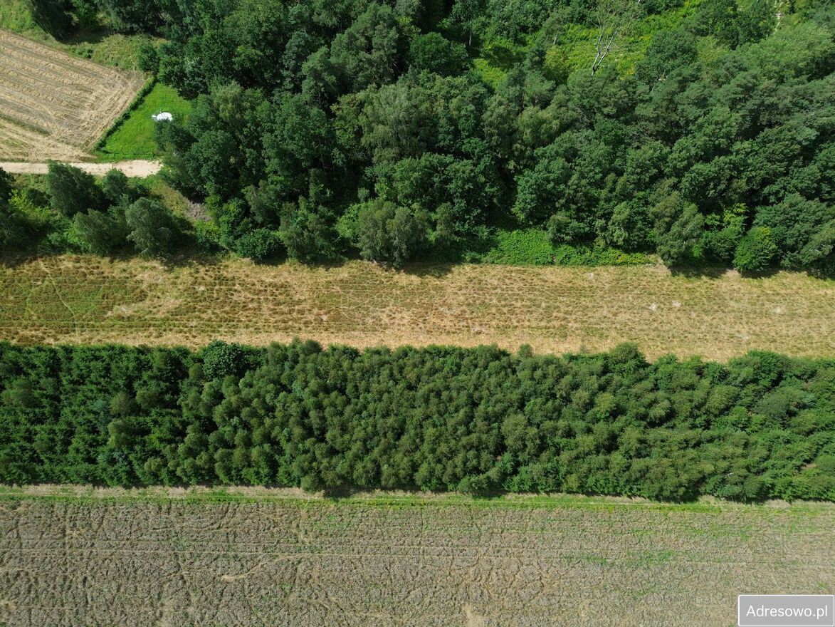 Działka rolna Huta Kuflewska. Zdjęcie 6