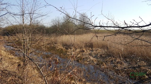 Działka Kaniów. Zdjęcie 2