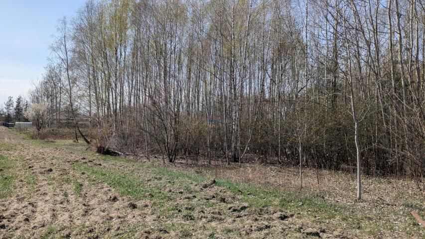 Działka budowlana Kotorydz. Zdjęcie 3