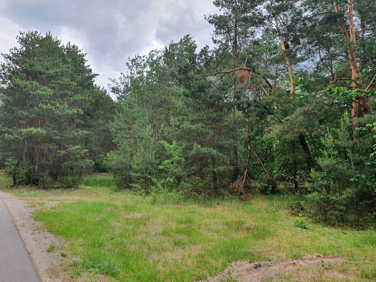 Działka inna Boska Wola. Zdjęcie 2