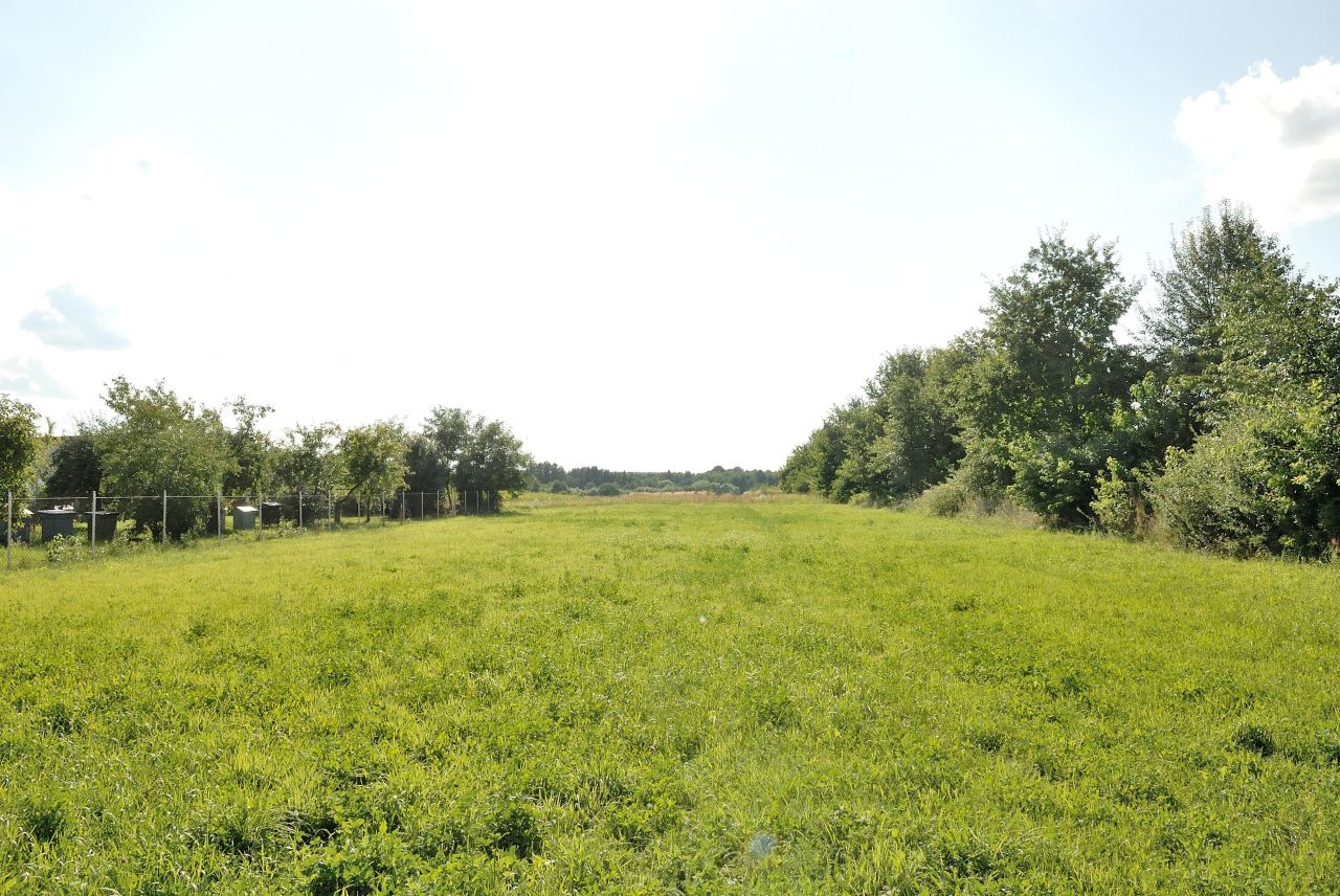 Działka rolno-budowlana Głowaczów, ul. Warecka. Zdjęcie 5