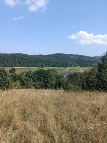 Działka rolno-budowlana Janiszów. Zdjęcie 1