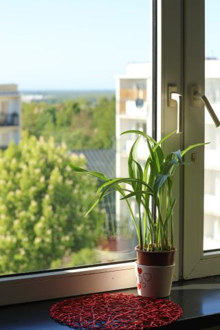 Mieszkanie 3-pokojowe Koszalin Przylesie, ul. Bukowa. Zdjęcie 1
