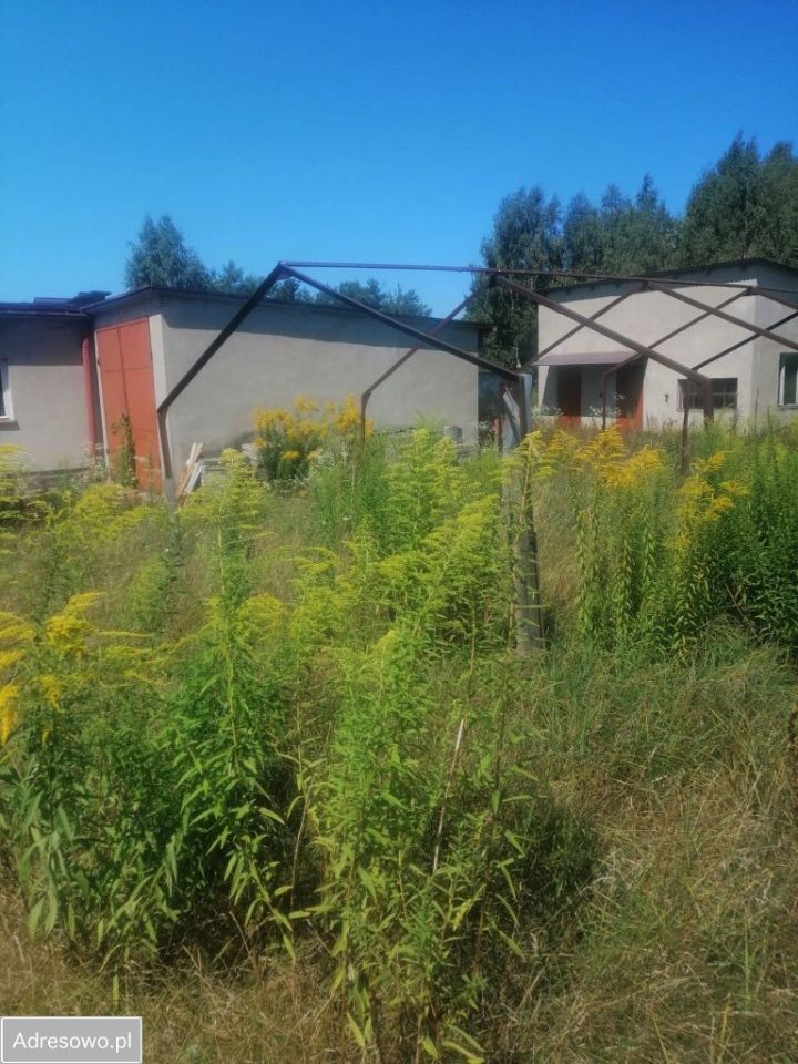 Działka rolna Łódź Bałuty, ul. Liściasta. Zdjęcie 4