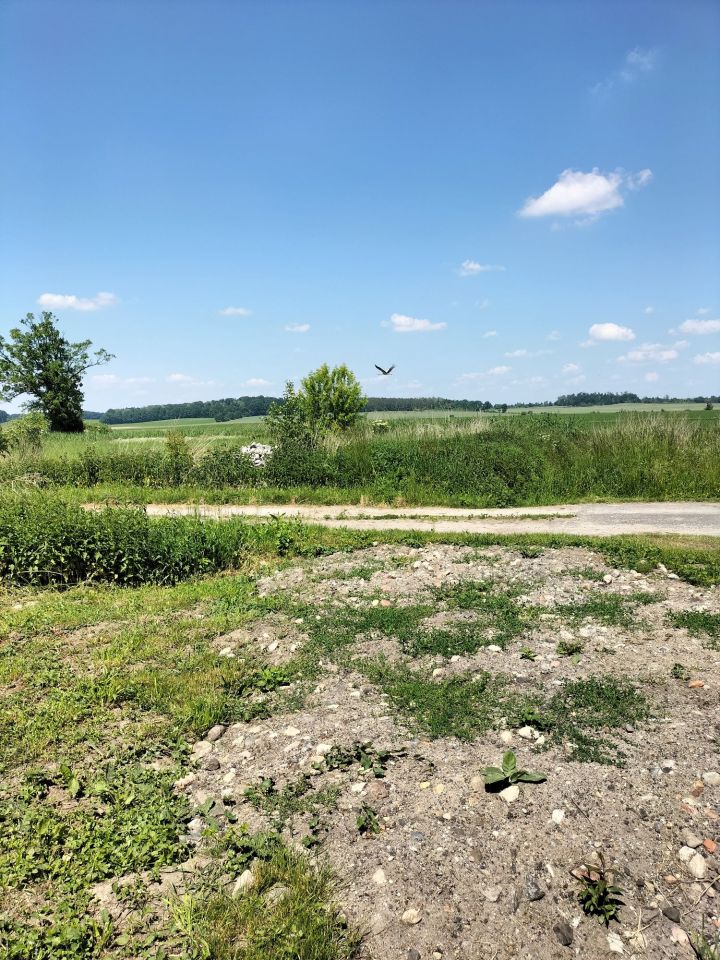 Działka budowlana Mikołajowa. Zdjęcie 4