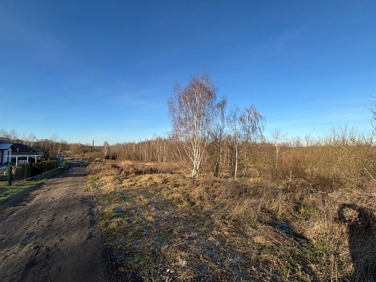 Działka budowlana Lubsko, ul. Jarzębinowa. Zdjęcie 4