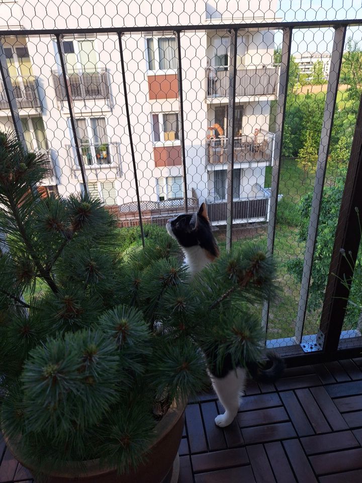 Mieszkanie 3-pokojowe Warszawa Białołęka, ul. Skarbka z Gór. Zdjęcie 13