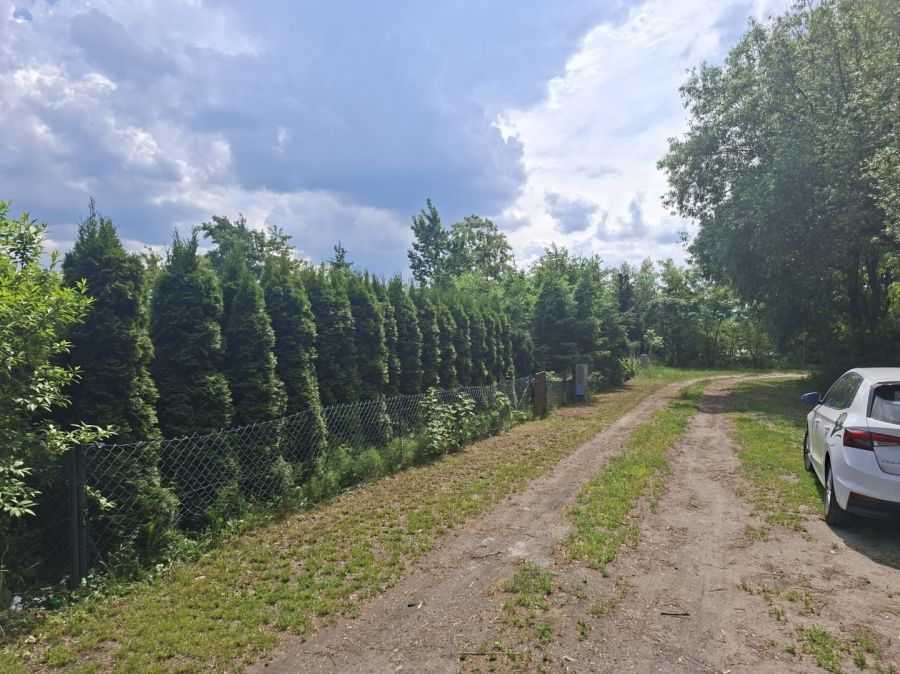 Działka rod Gdańsk Stogi, ul. Zawiślańska. Zdjęcie 2