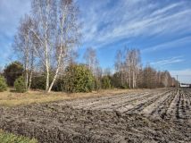 Działka budowlana Grabów nad Pilicą, ul. Kolonia Piaski. Zdjęcie 3