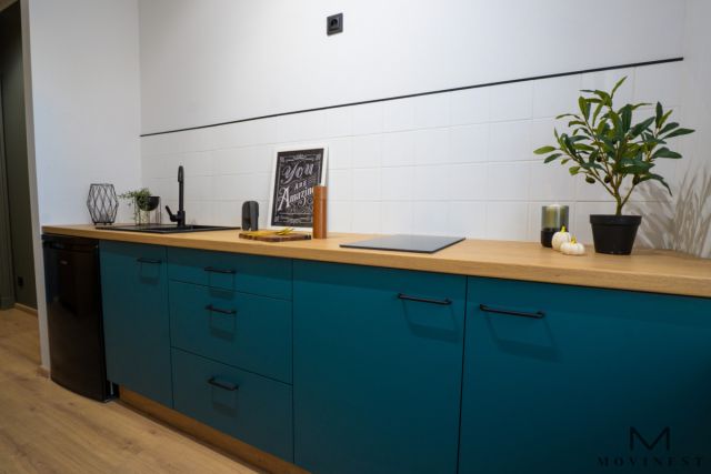 Mieszkanie 2-pokojowe Poznań Jeżyce, ul. Żurawia. Zdjęcie 11