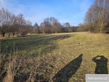 Działka rolna Kolonia Rozniszew. Zdjęcie 3