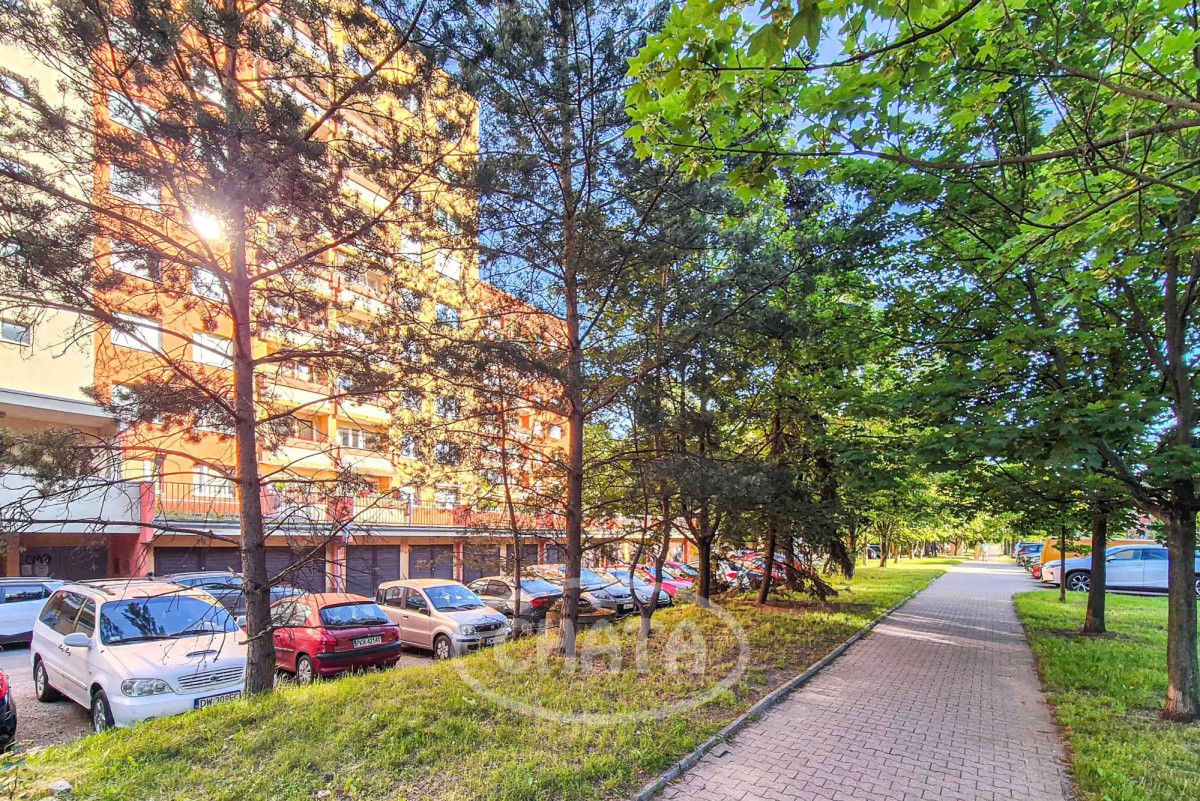 Mieszkanie 2-pokojowe Wrocław, ul. Jerzego Bajana. Zdjęcie 16