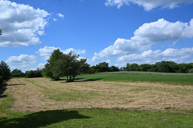 Działka budowlana Augustów Borki, ul. Żurawia. Zdjęcie 3