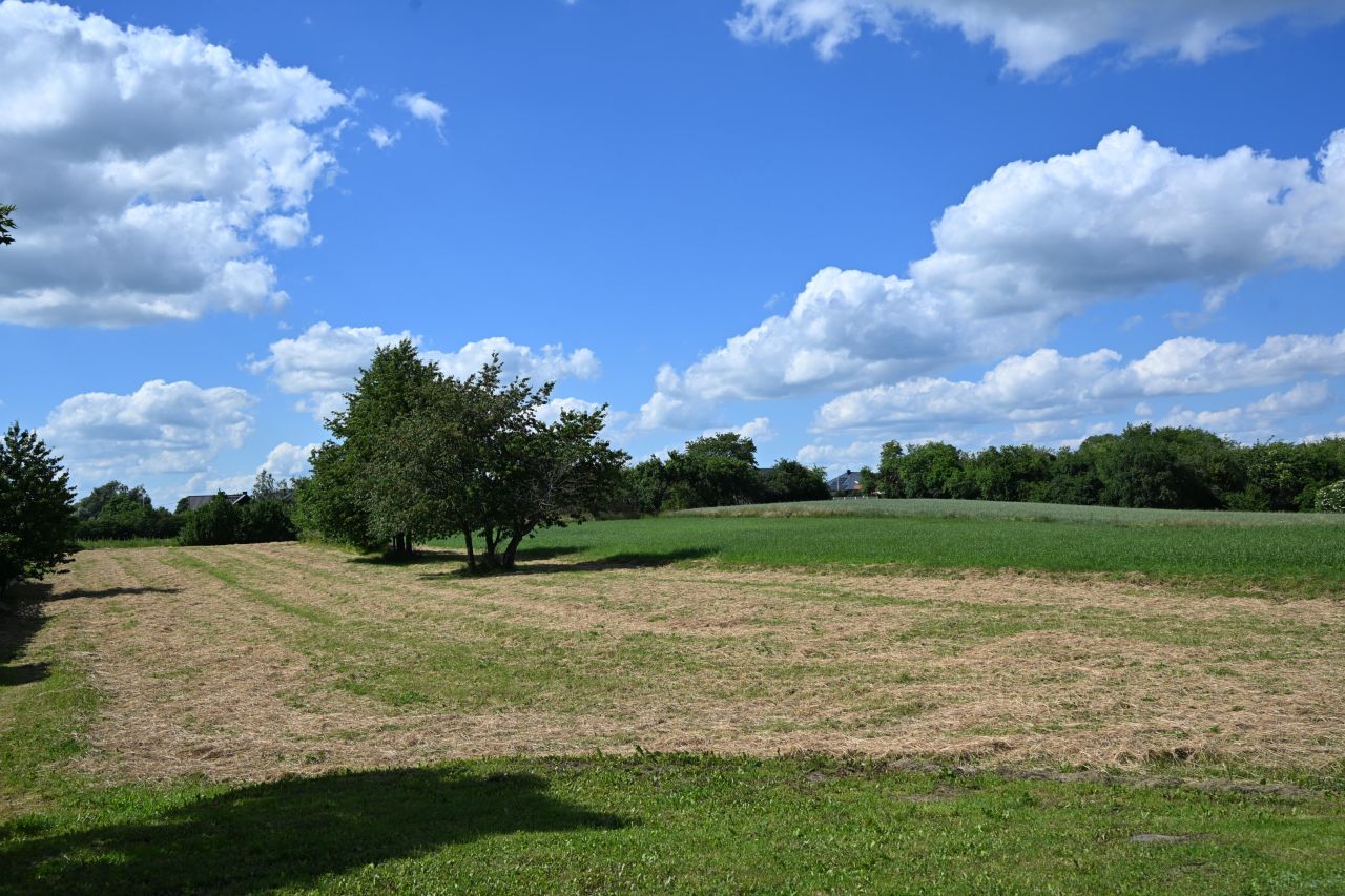 Działka budowlana Augustów Borki, ul. Żurawia. Zdjęcie 3