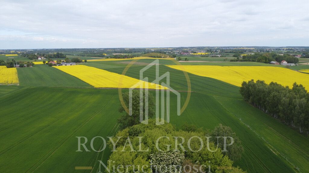 Działka siedliskowa Płouszowice-Kolonia. Zdjęcie 11