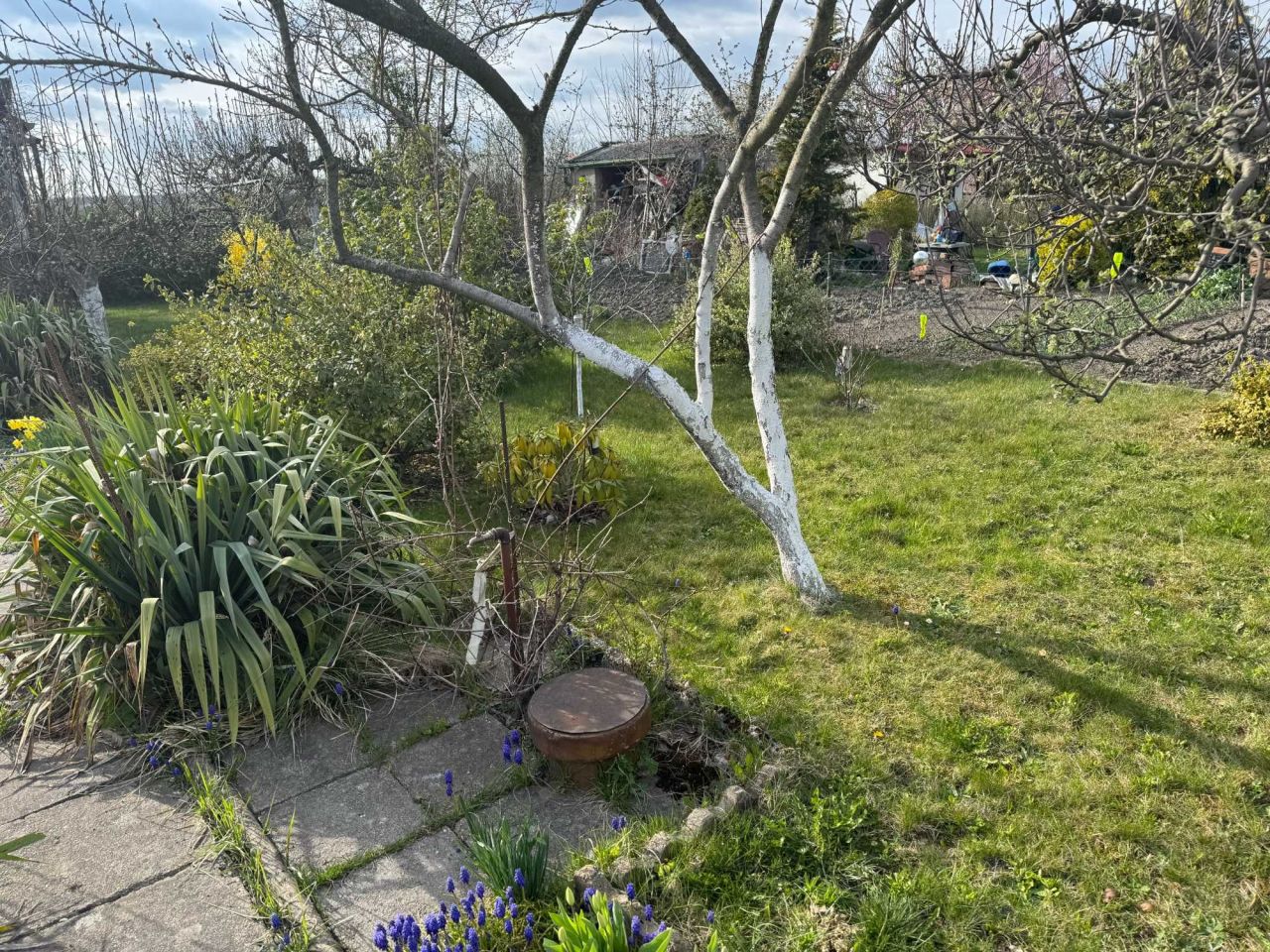 Działka rod Żary. Zdjęcie 2