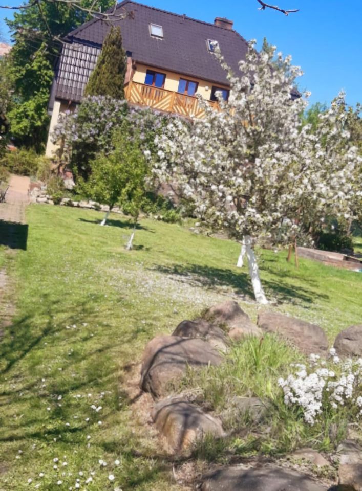 Mieszkanie 4-pokojowe Wołów, al. Niepodległości. Zdjęcie 18