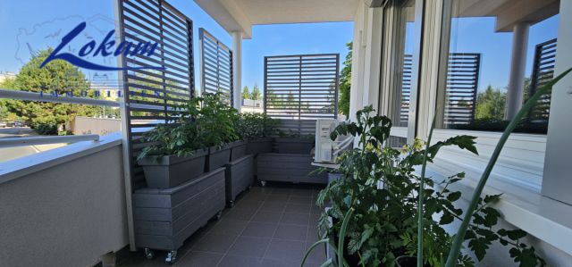 Mieszkanie 2-pokojowe Leszno, ul. Ludwika Zamenhofa. Zdjęcie 10