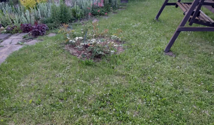 Działka rod Wrocław Stare Miasto