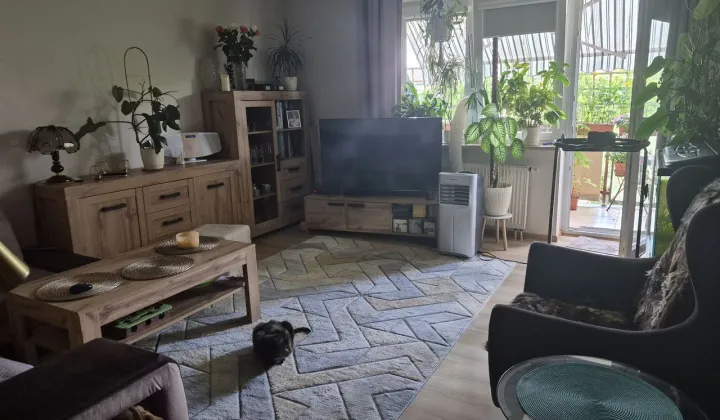 Mieszkanie 3-pokojowe Nowa Iwiczna, ul. Zimowa
