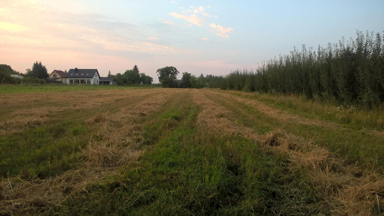 Działka rolno-budowlana Broniszew. Zdjęcie 7