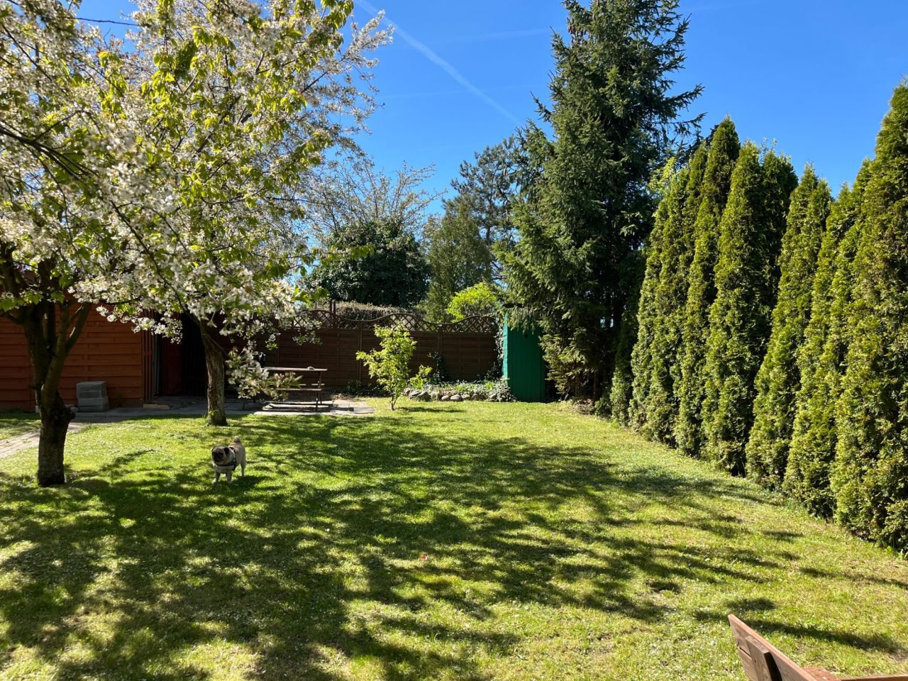 Działka rekreacyjna Tczew