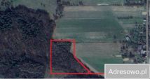 Działka leśna Domaniewice