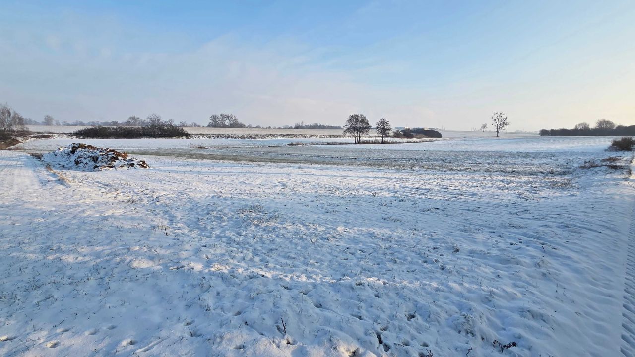 Działka rolna Niemieczkowo. Zdjęcie 7