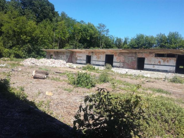 Działka inwestycyjna Drygulec. Zdjęcie 1