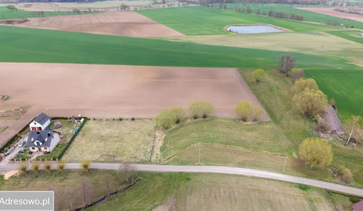 Działka budowlana Sosnowiec, ul. Kasztanowa