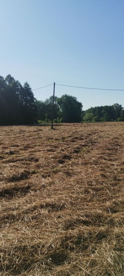 Działka rolna Strzeszkowice Duże. Zdjęcie 5