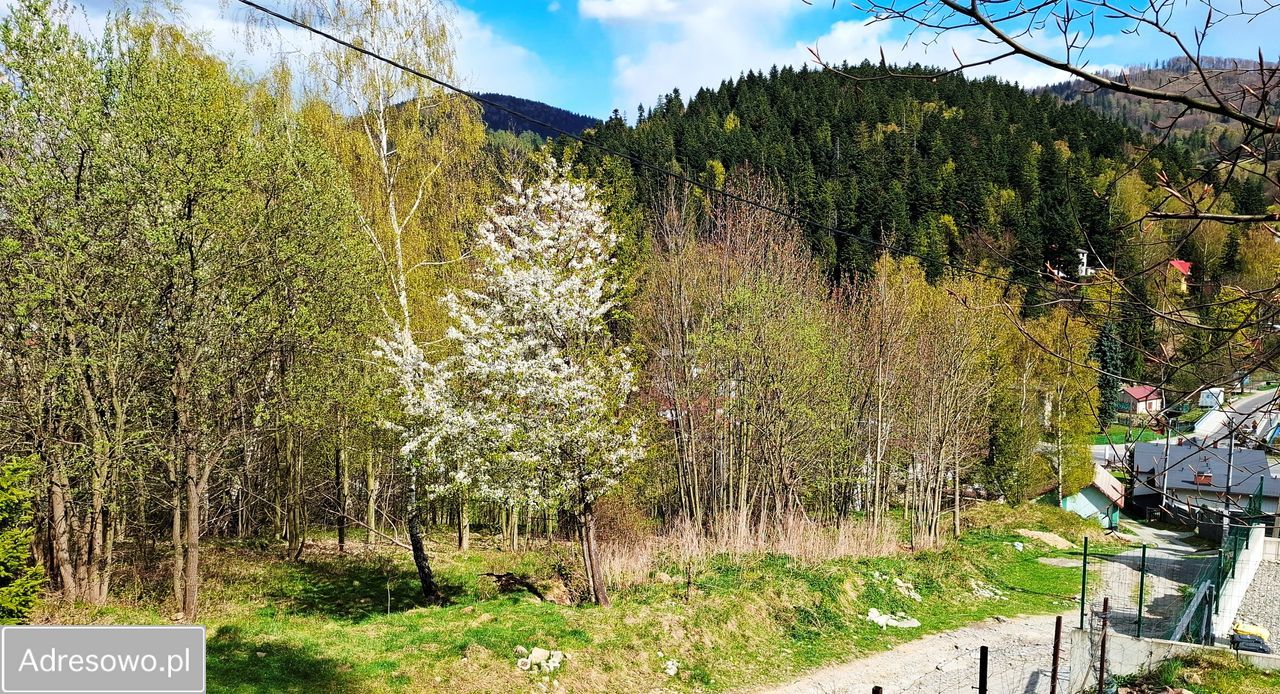 Działka budowlana Szczyrk, ul. Klonowa. Zdjęcie 12