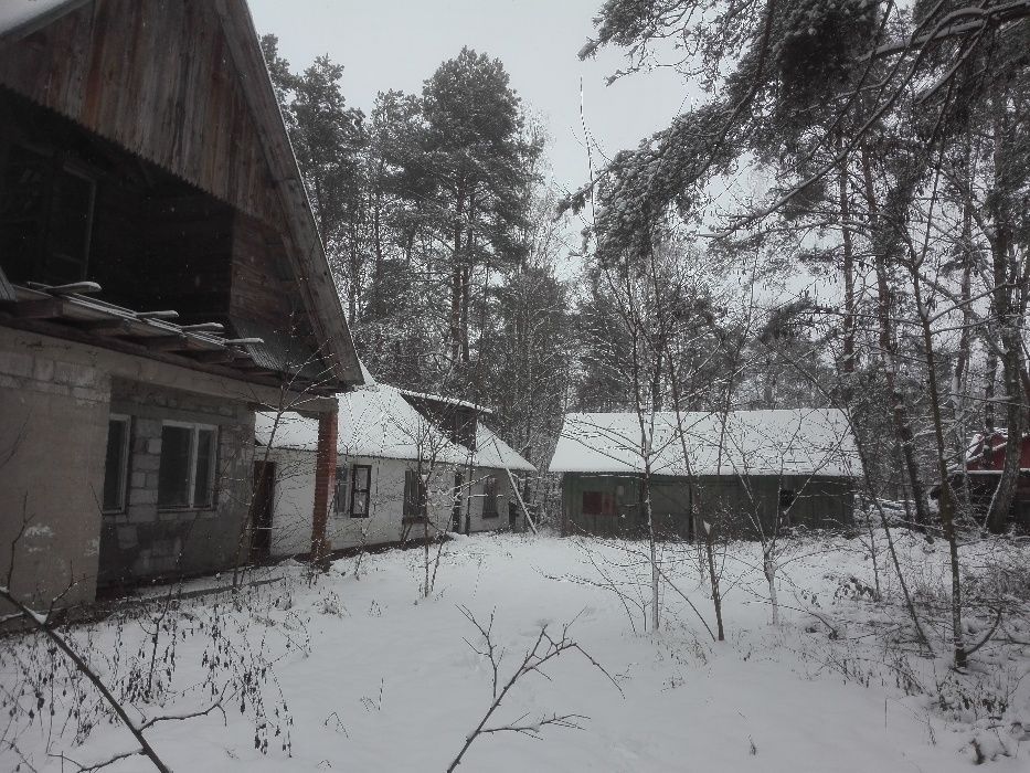 Działka rolno-budowlana Wytyczno. Zdjęcie 4