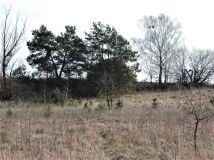 Działka rolno-budowlana Wiejca. Zdjęcie 3