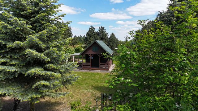 Działka rekreacyjna Brodnia-Kolonia. Zdjęcie 1