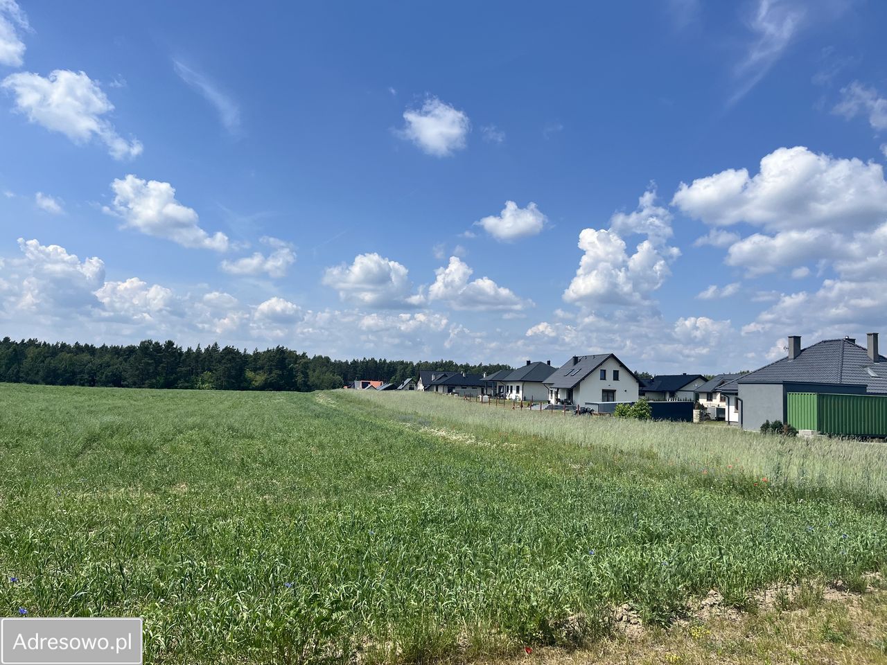 Działka budowlana Osie, ul. Kwiatowa. Zdjęcie 6