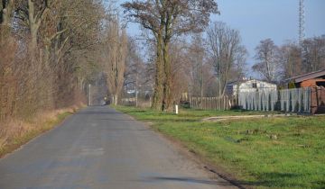 Działka rolno-budowlana Niedrzew Drugi