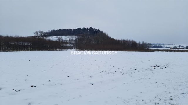 Działka rolna Polekarcice. Zdjęcie 7