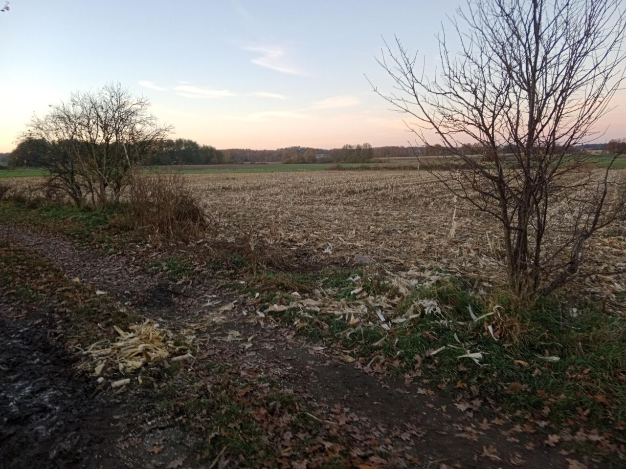 Działka rolno-budowlana Rudawa. Zdjęcie 2