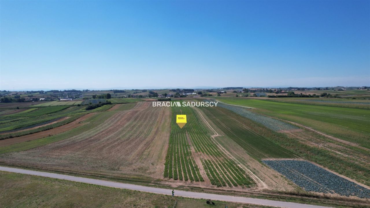 Działka rolna Proszowice, ul. Krakowska. Zdjęcie 7
