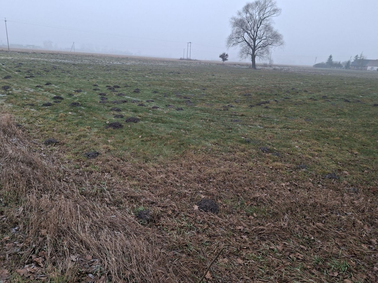 Działka budowlana Liszkowice. Zdjęcie 3