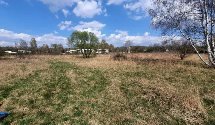 Działka budowlana Dąbrowa Górnicza Gołonóg, ul. Parkowa
