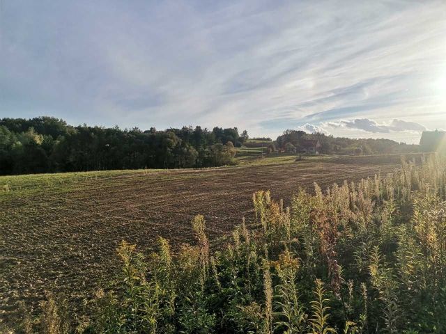 Działka rolno-budowlana Zalasowa. Zdjęcie 1