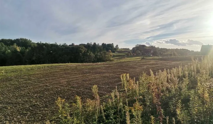 Działka rolno-budowlana Zalasowa