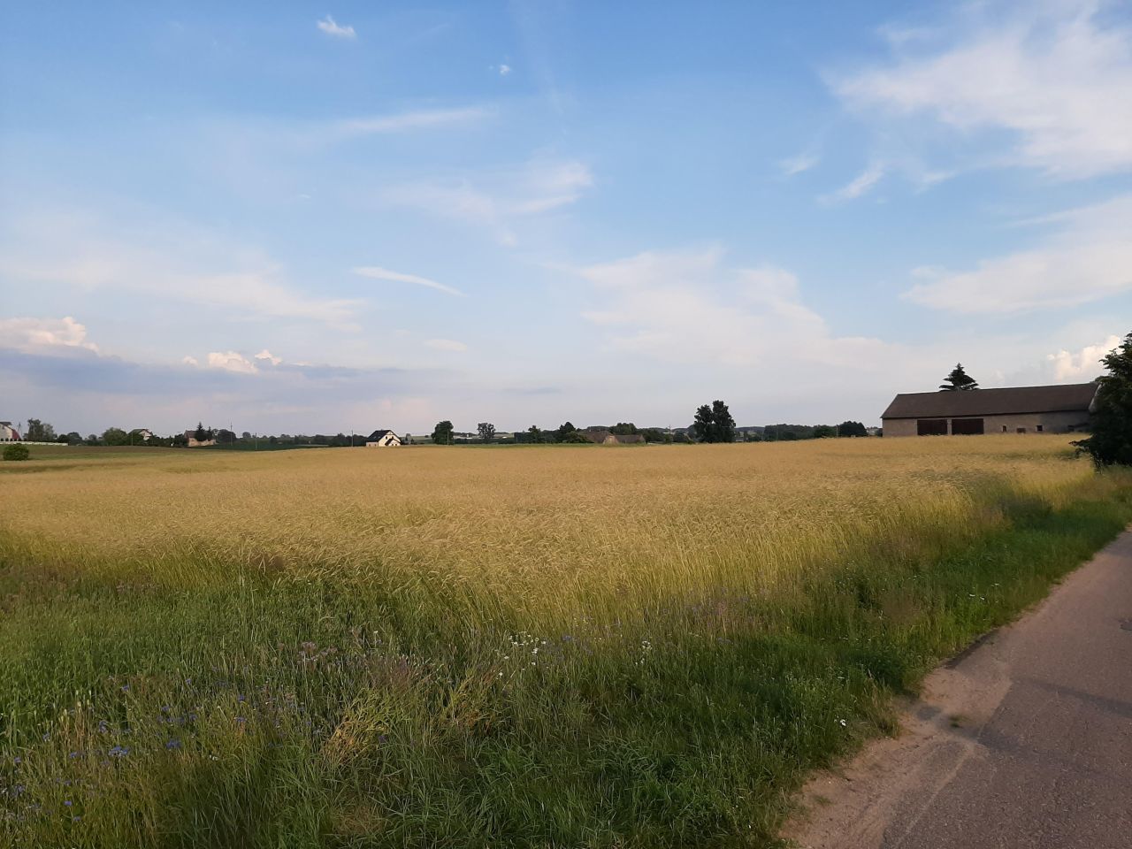 Działka rolna Otręba. Zdjęcie 4