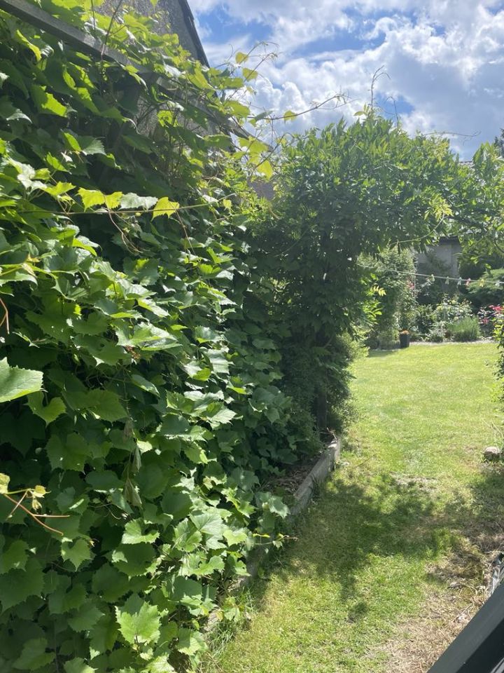 bliźniak, 4 pokoje Sokolniki. Zdjęcie 7